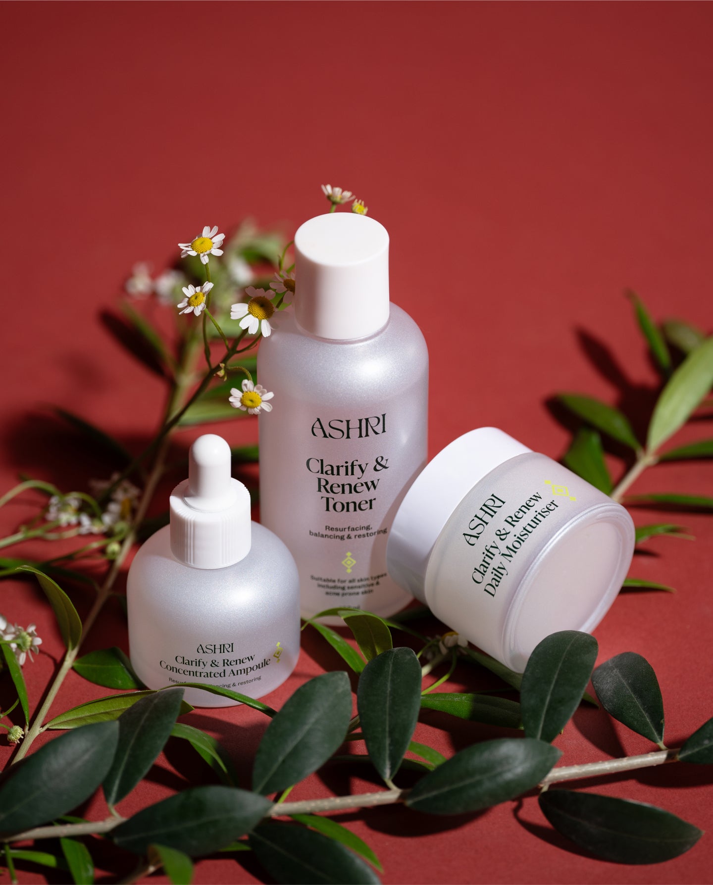 Clarify & Renew Trio